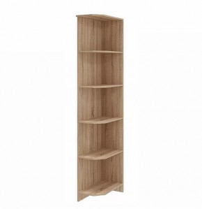 БЕАТРИС Шкаф торцевой (ш225*г487в2200мм), дуб сонома в Тюмени - mebel-tymen.ru | фото