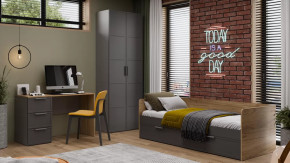 Детская «Стелла» Серый вулкан, Фон Серый, Яблоня Беллуно в Тюмени - mebel-tymen.ru | фото