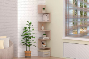 Диал Полка угловая в Тюмени - mebel-tymen.ru | фото