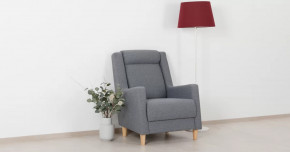 Дилан Кресло для отдыха арт. ТК 423 в Тюмени - mebel-tymen.ru | фото