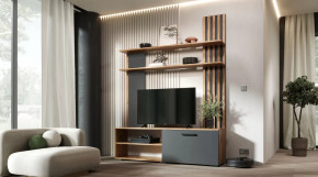 Гостиная Каролина Дуб Вотан/Графит в Тюмени - mebel-tymen.ru | фото