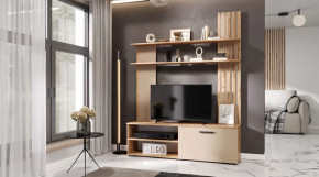 Гостиная Каролина Дуб Вотан/Кашемир в Тюмени - mebel-tymen.ru | фото