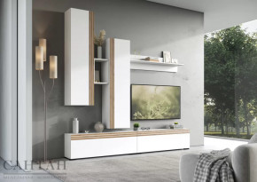 Гостиная НАО-Моно №1 в Тюмени - mebel-tymen.ru | фото