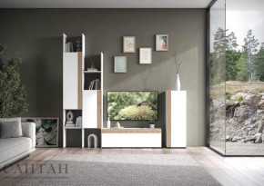 Гостиная НАО-Моно №3 в Тюмени - mebel-tymen.ru | фото