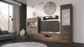 Гостиная Серия Регина дуб самдал в Тюмени - mebel-tymen.ru | фото