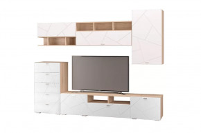 Гостиная Скайлайн, набор ДБ- 2, дуб сонома светлый/белый в Тюмени - mebel-tymen.ru | фото