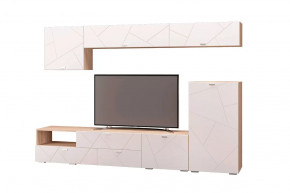 Гостиная Скайлайн, набор ДГ- 10, дуб сонома светлый/белый в Тюмени - mebel-tymen.ru | фото