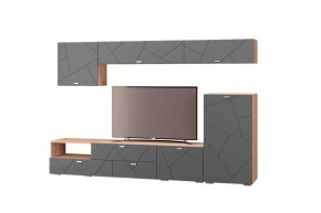 Гостиная Скайлайн, набор ДГ- 10, дуб сонома светлый/графит в Тюмени - mebel-tymen.ru | фото