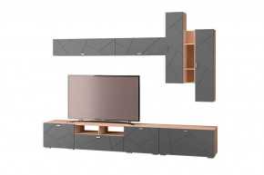 Гостиная Скайлайн, набор ДГ- 6, дуб сонома светлый/графит в Тюмени - mebel-tymen.ru | фото