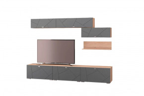 Гостиная Скайлайн, набор ДГ- 7, дуб сонома светлый/графит в Тюмени - mebel-tymen.ru | фото