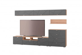 Гостиная Скайлайн, набор ДГ- 8, дуб сонома светлый/графит в Тюмени - mebel-tymen.ru | фото