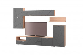 Гостиная Скайлайн, набор ДГ- 9, дуб сонома светлый/графит в Тюмени - mebel-tymen.ru | фото