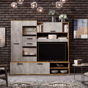 Гостиная Трамп ЦС-05 в Тюмени - mebel-tymen.ru | фото