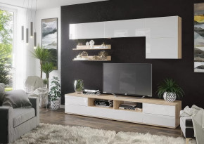 Гостиная "Тренто" Дуб Сонома в Тюмени - mebel-tymen.ru | фото