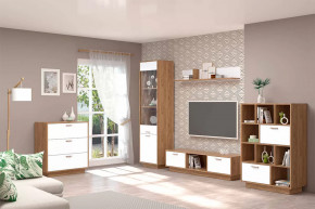 Гостиная Эго, набор №БГ-2, дуб крафт золотой/белый глянец  Диал в Тюмени - mebel-tymen.ru | фото