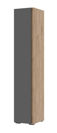 ХЕЛЕН ПН01 Пенал закрытый (ш400*г460*в2100мм), Дуб Крафт Золотой/Серый Графит в Тюмени - mebel-tymen.ru | фото