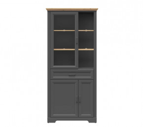 JASMIN шкаф REG1W2D1S (Графит/ Дуб артизан) в Тюмени - mebel-tymen.ru | фото