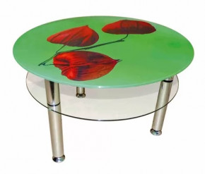 Журнальный стол "Виконт 2"  СЖ ТрМр-Б (flora 5) в Тюмени - mebel-tymen.ru | фото