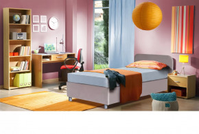 Кровать с подъемным механизмом 900*1900/2000 Инди в Тюмени - mebel-tymen.ru | фото