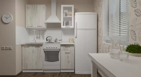 Кухонный гарнитур Алина мини 1000 мм в Тюмени - mebel-tymen.ru | фото