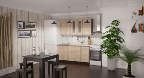 Кухонный гарнитур Ника стандарт 1600 мм в Тюмени - mebel-tymen.ru | фото