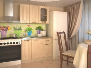 Кухонный прямой гарнитур 2, 1000 мм, Грецкий орех в Тюмени - mebel-tymen.ru | фото