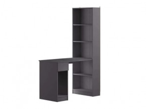 Лайт Шкаф комбинированный 10.01 (Темно-серый) в Тюмени - mebel-tymen.ru | фото