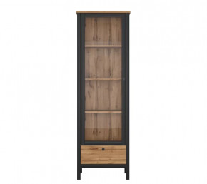 LOFT шкаф REG1W1S (Дуб вотан/Черный) в Тюмени - mebel-tymen.ru | фото