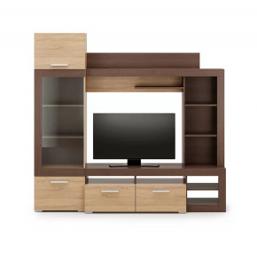 ЛУИЗИАНА Гостиная, дуб сонома/венге в Тюмени - mebel-tymen.ru | фото