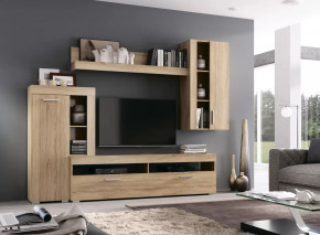 МАЙАМИ Гостиная, дуб сонома в Тюмени - mebel-tymen.ru | фото