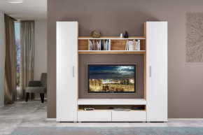 Модульная гостиная «Альба» в Тюмени - mebel-tymen.ru | фото