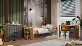 Набор детской мебели «Хилтон» стандартный №1 Дуб Крафт золотой, Графит матовый в Тюмени - mebel-tymen.ru | фото