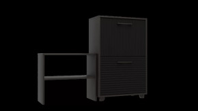 Обувница Копенгаген 2 ящика (Венге/Черный матовый) в Тюмени - mebel-tymen.ru | фото