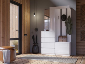 Прихожая Челси белый в Тюмени - mebel-tymen.ru | фото