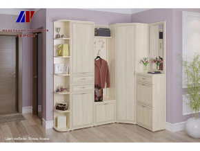 Прихожая Карина набор 5 в Тюмени - mebel-tymen.ru | фото