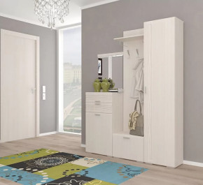 Прихожая Лотос Композиция №21 в Тюмени - mebel-tymen.ru | фото