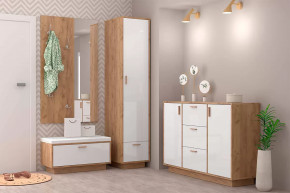 Прихожая Эго, набор №БГ-2, дуб крафт золотой/белый глянец Диал в Тюмени - mebel-tymen.ru | фото