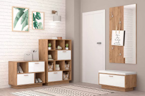 Прихожая Эго, набор №БГ-3, дуб крафт золотой/белый глянец Диал в Тюмени - mebel-tymen.ru | фото