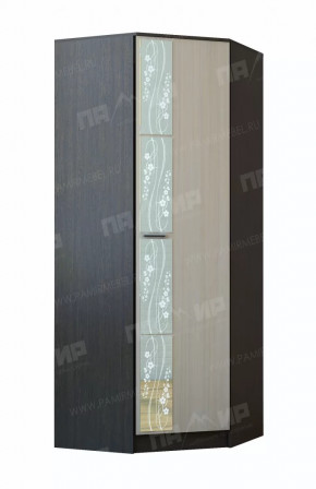 САБИНА СУ-870 Шкаф угловой (ш870*г520*в2200мм), ЛДСП венге/дуб белфорт (4уп) в Тюмени - mebel-tymen.ru | фото