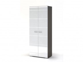 Шкаф 2-х створчатый Вегас в Тюмени - mebel-tymen.ru | фото