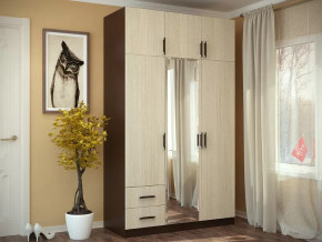 Шкаф 3-х створчатый с перегородкой венге/лоредо БТС в Тюмени - mebel-tymen.ru | фото