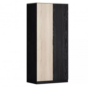 Шкаф двухстворчатый для одежды Дельта Лофт 13.02 в Тюмени - mebel-tymen.ru | фото