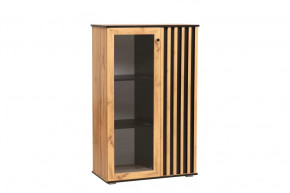 Шкаф комбинированный 51.03 Либерти (опора h=20мм) в Тюмени - mebel-tymen.ru | фото