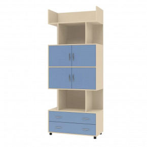 Шкаф комбинированный Дельта-5.03 в Тюмени - mebel-tymen.ru | фото