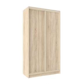 Шкаф-купе 1200 Домашний лдсп/лдсп в Тюмени - mebel-tymen.ru | фото