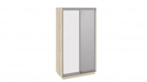 Шкаф-купе 2-х дверный «Румер» в Тюмени - mebel-tymen.ru | фото