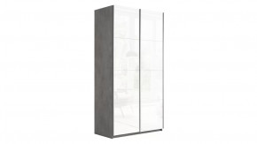 Шкаф-купе 2-х дверный «Траст» в Тюмени - mebel-tymen.ru | фото