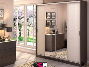 Шкаф-купе Альянс 2000 в Тюмени - mebel-tymen.ru | фото