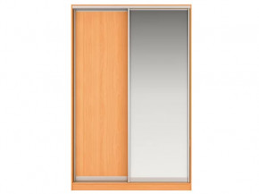 Шкаф-купе Джонни (Фасад ЛДСП + Фасад Зеркало) в Тюмени - mebel-tymen.ru | фото