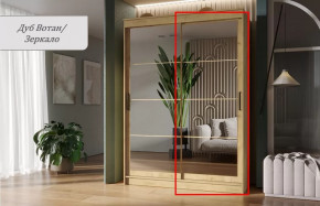 Шкаф-купе ГРАНД 1  1,6 Фасад Зеркало ЛДСП Дуб вотан/Зеркало в Тюмени - mebel-tymen.ru | фото